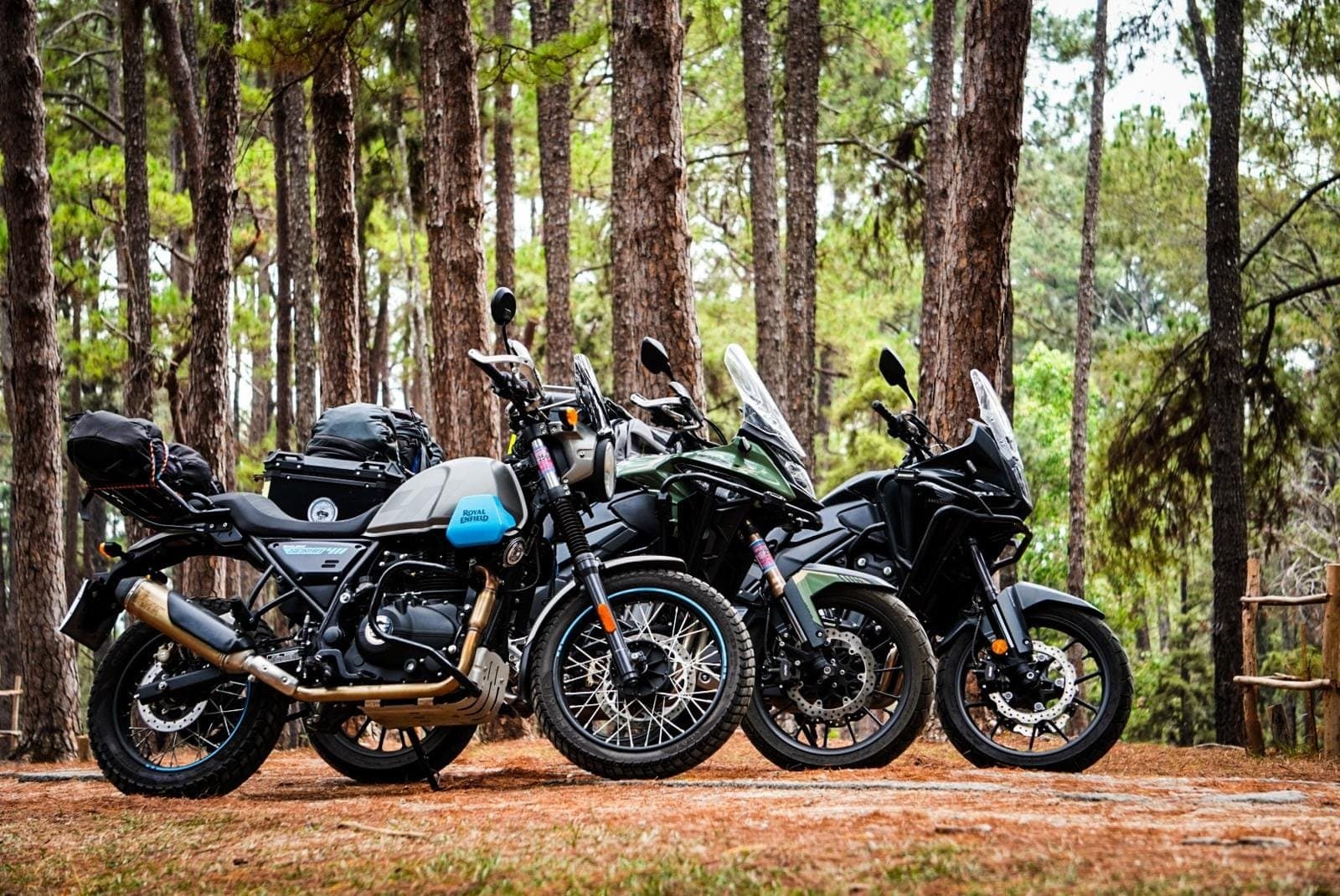 A Royal Enfield Scram 411 and two adventure bikes from the CBTT rental fleet parked in a pine forest